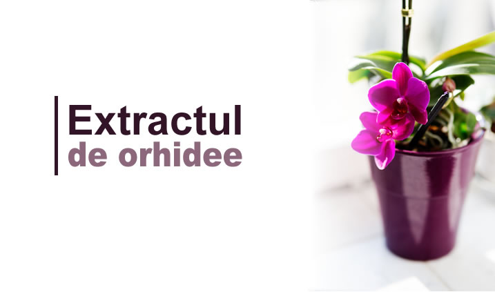 Ce beneficii ne aduce orhideea?